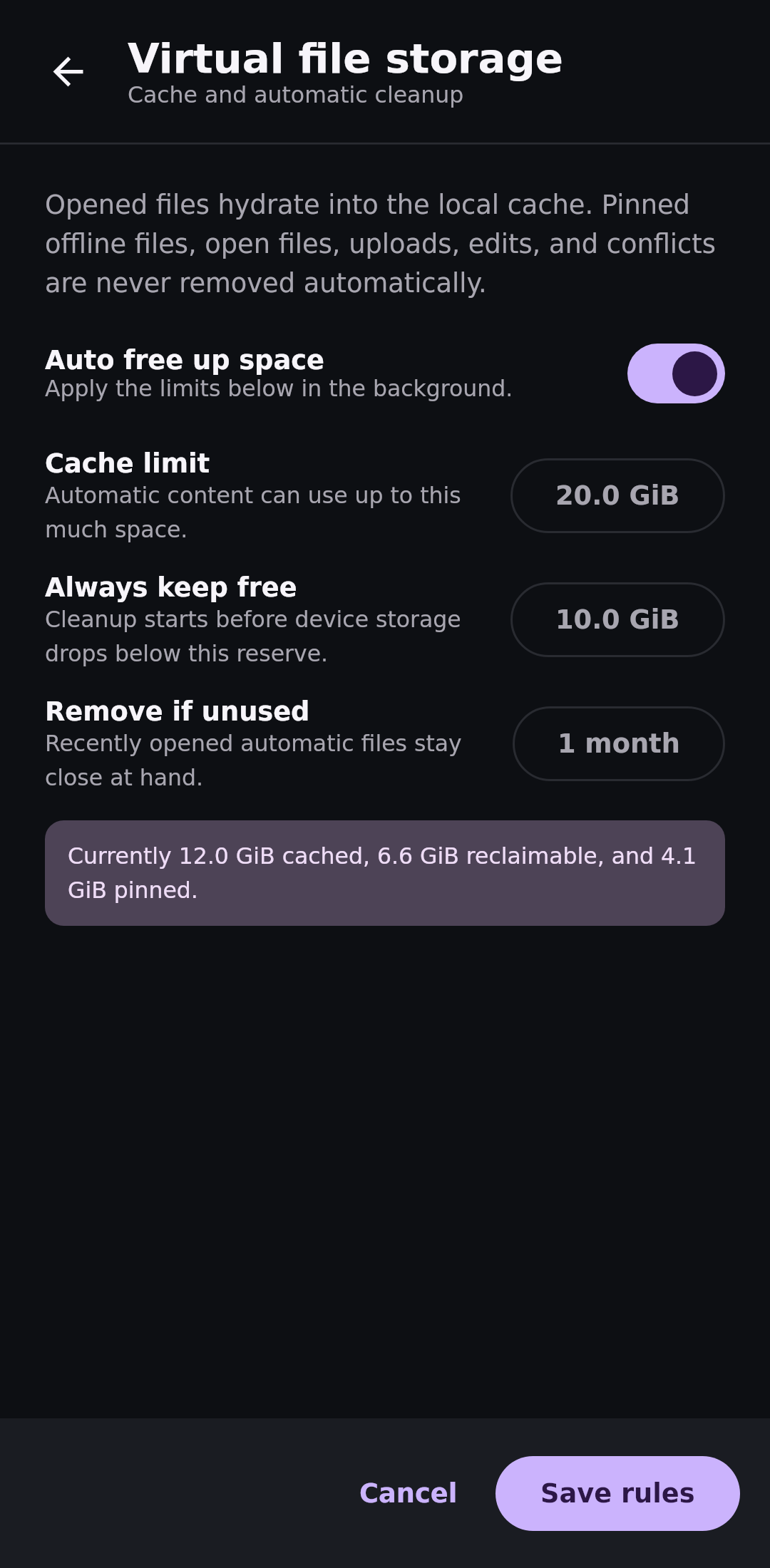 Virtual files Storage rules: Automatic cleanup with protected pins